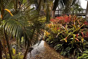 112 Lake Emerald Unit, Oakland Park, FL 33309 - Photo 52