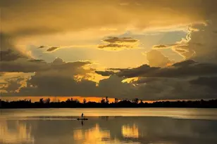 112 Lake Emerald Unit, Oakland Park, FL 33309 - Photo 60