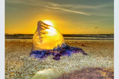 328 N Ocean Blvd, Unit #1008, Pompano Beach, FL 33062 - Photo 38