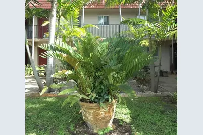 3050 NE 5th Ter, Unit #6, Wilton Manors, FL 33334 - Photo 2