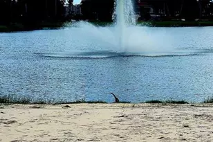 11779 Caracas Blvd, Boynton Beach, FL 33437 - Photo 14