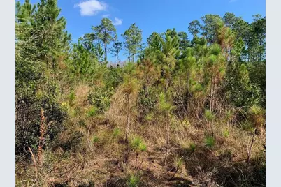 0  Holopaw Groves Rd, Saint Cloud, FL 34772 - Photo 2