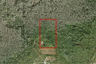 0 Holopaw Groves Rd, Saint Cloud, FL 34772 - Photo 4