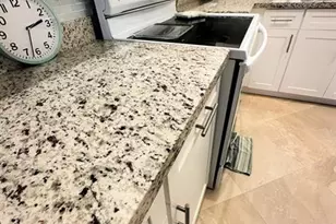 10980 Lake Front Pl, Boca Raton, FL 33498 - Photo 8