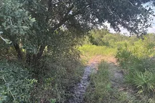 0 NW 310th St, Okeechobee, FL 34972 - Photo 2