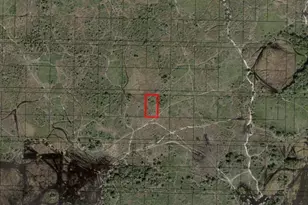 0 NW 310th St, Okeechobee, FL 34972 - Photo 2