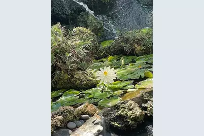 2900 NE 14th Street Cswy, Unit #514, Pompano Beach, FL 33062 - Photo 36