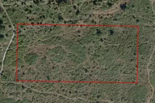 0 NW 306th St, Okeechobee, FL 34972 - Photo 2