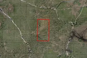 0 NW 316th St, Okeechobee, FL 34972 - Photo 2