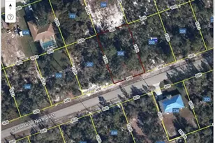 235 Carole Rd, Lake Placid, FL 33852 - Photo 2