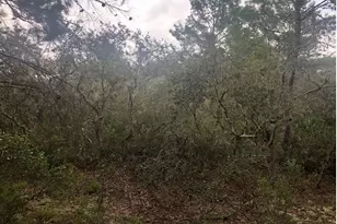 0 Alturas Babson Park Cutoff Rd, Lake Wales, FL 33859 - Photo 2