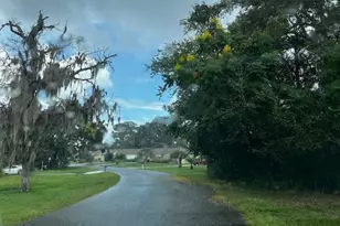 000 Silver Course Loop, Ocala, FL 34472 - Photo 2