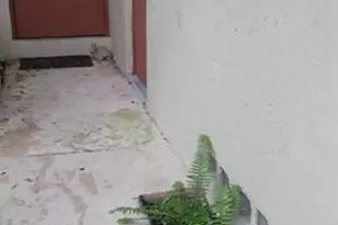 1800 NE 39th Ct, Pompano Beach, FL 33064 - Photo 30