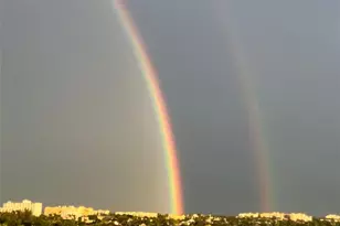 1537 E Hillsboro Blvd, Deerfield Beach, FL 33441 - Photo 54