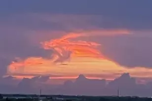 1537 E Hillsboro Blvd, Deerfield Beach, FL 33441 - Photo 30