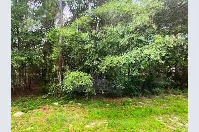 9550 N Quarry Dr, Citrus Springs, FL 34434 - Photo 2