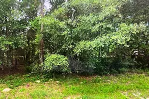 9550 N Quarry Dr, Citrus Springs, FL 34434 - Photo 2