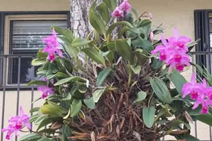 367 S Federal Hwy, Deerfield Beach, FL 33441 - Photo 36