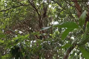 0000 SE 44 Ave, Ocala, FL 32526 - Photo 2