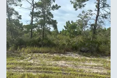 533  Boylston St, Lake Placid, FL 33852 - Photo 1