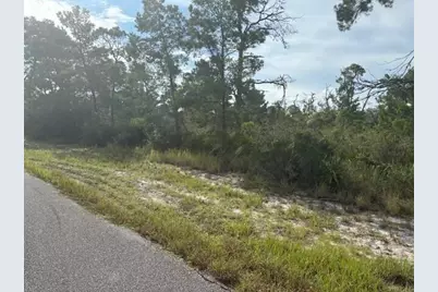 533  Boylston St, Lake Placid, FL 33852 - Photo 2