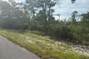 533 Boylston St, Lake Placid, FL 33852 - Photo 2