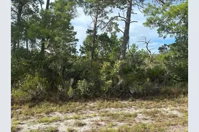 635  Boylston St, Lake Placid, FL 33852 - Photo 1