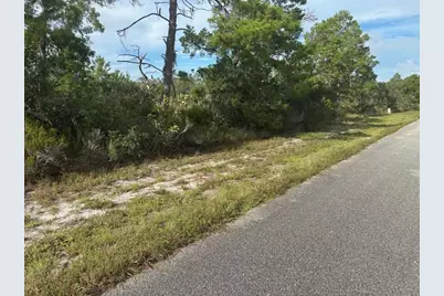 635  Boylston St, Lake Placid, FL 33852 - Photo 2