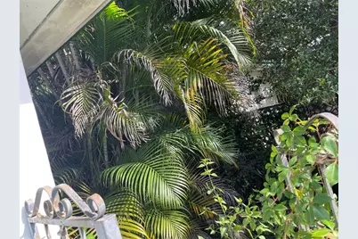 1601 NW 147th Street Dr, Miami, FL 33167 - Photo 6