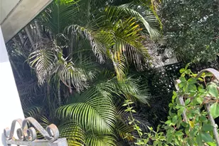 1601 NW 147th Street Dr, Miami, FL 33167 - Photo 6