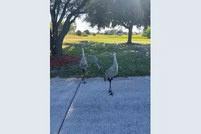 7642  Barn Owl Dr, Port Saint Lucie, FL 34952 - Photo 50