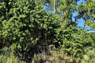 6904 Deer Park Ave, Fort Pierce, FL 34951 - Photo 2