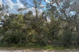 Lot 14 Block 75 Park Ave, Indian Lake Estates, FL 33855 - Photo 4