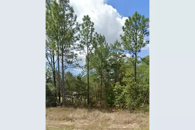 3808 W Indian Rock Pl, Citrus Springs, FL 34433 - Photo 2