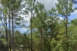 3808 W Indian Rock Pl, Citrus Springs, FL 34433 - Photo 2