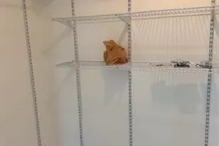 3380 NW 78th Ave, Margate, FL 33063 - Photo 14