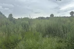 0 NW 294th St, Okeechobee, FL 34972 - Photo 2