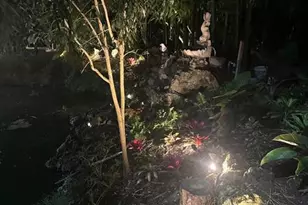 15810 N 83rd Ln N, Loxahatchee, FL 33470 - Photo 76