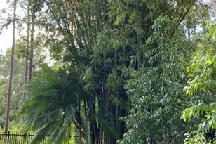 15810 N 83rd Ln N, Loxahatchee, FL 33470 - Photo 60