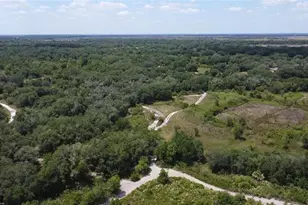 0 NW 300th St, Okeechobee, FL 34972 - Photo 6