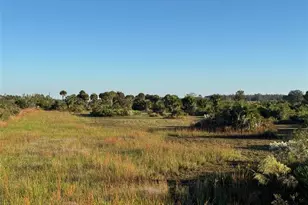 18826 NW 244th St, Okeechobee, FL 34972 - Photo 6