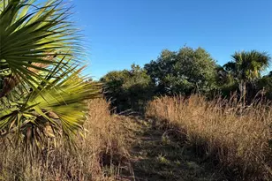 2025 Cabbage Ln, Okeechobee, FL 34974 - Photo 6