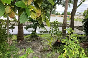 3501 NW 32nd St, Lauderdale Lakes, FL 33309 - Photo 4