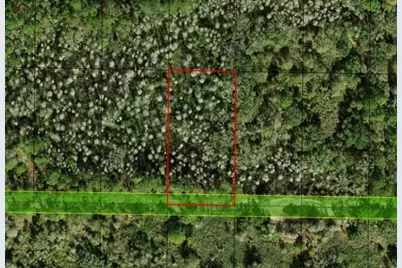 0  County Rd 54 E, Kathleen, FL 33849 - Photo 2