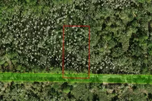 0 County Rd 54 E, Kathleen, FL 33849 - Photo 2