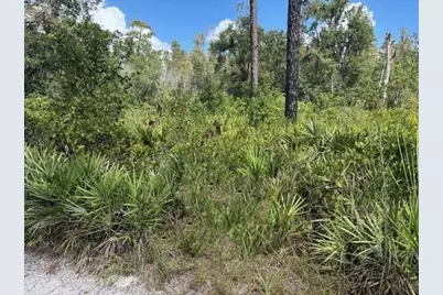 0  County Rd 54 E, Kathleen, FL 33849 - Photo 2