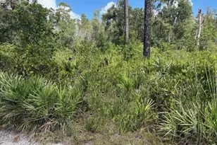 0 County Rd 54 E, Kathleen, FL 33849 - Photo 2