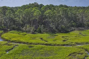 0 Mango Ln, Fernandina Beach, FL 32034 - Photo 8