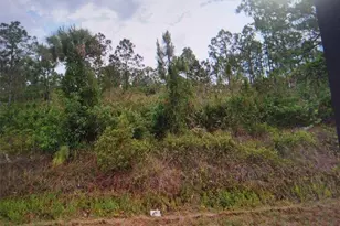 817 State Ave, Lehigh Acres, FL 33972 - Photo 1