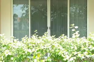 2731 Ocean Club Blvd, Hollywood, FL 33019 - Photo 10